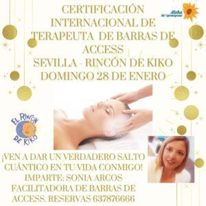 Barras de Access